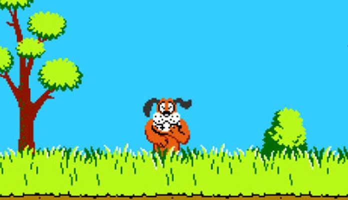 Duck-Hunt-A  