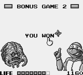 Teenage Mutant Ninja Turtles: Fall of the Foot Clan