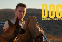 Dog: A Aventura de uma Vida | Estreia hoje nas salas de cinema Cinemundo Dog: A Aventura de uma Vida