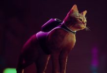 Stray | Conhece os gatos que inspiraram o título da BlueTwelve Studio! Stray