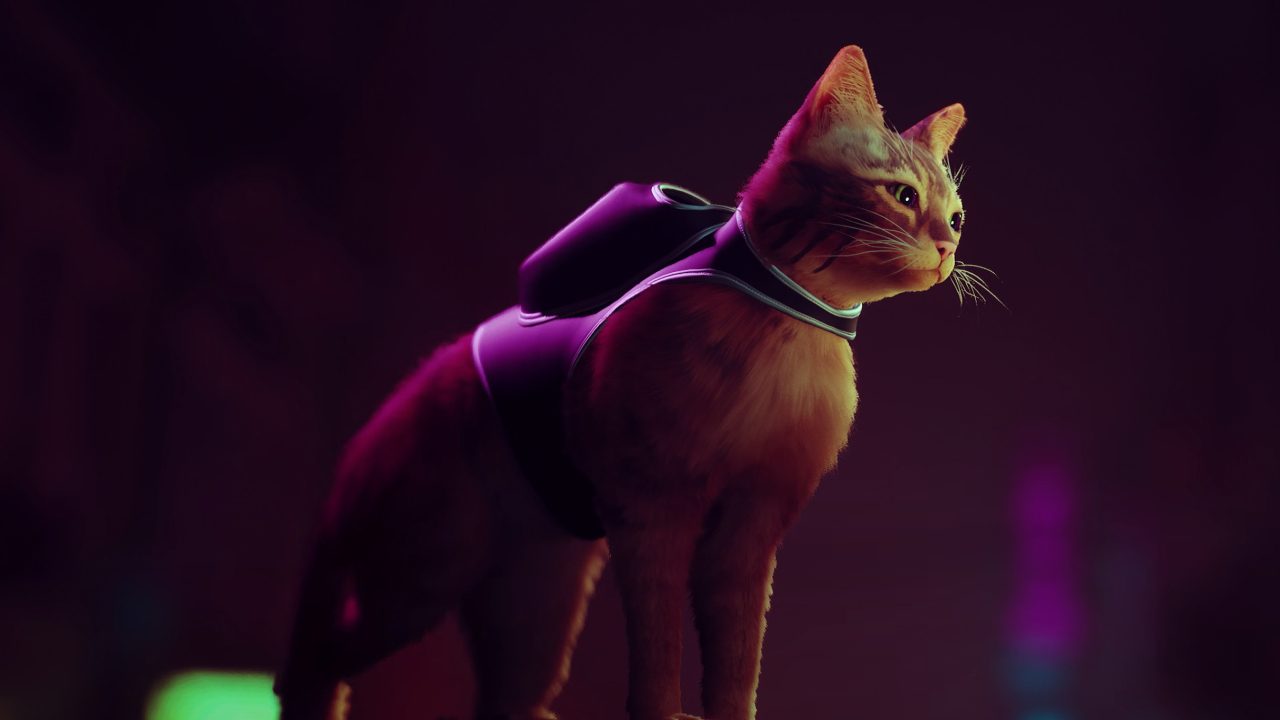 Novo jogo do gatinho laranja 'Stray' ajuda gatos na vida real