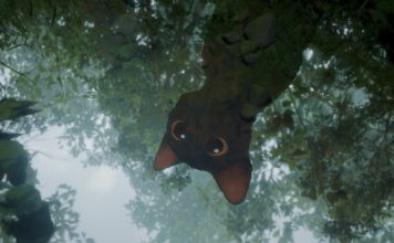 Flow | Análise Flow