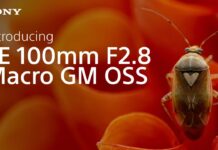 Sony | Apresenta a lente Sony FE 100mm F2.8 Macro GM OSS Sony FE 100mm F2.8 Macro GM OSS