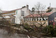 Portugal em Estado de Calamidade | Vamos apoiar os que mais precisam!