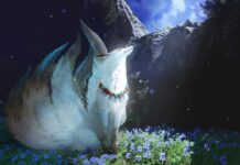 Human x Gumiho | Novo k-drama sobrenatural da Prime Video terá Jun Ji-hyun e Ji Chang-wook nos papéis principais Human X Gumiho